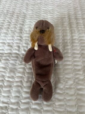 Jolly the Walrus Beanie Baby 4082